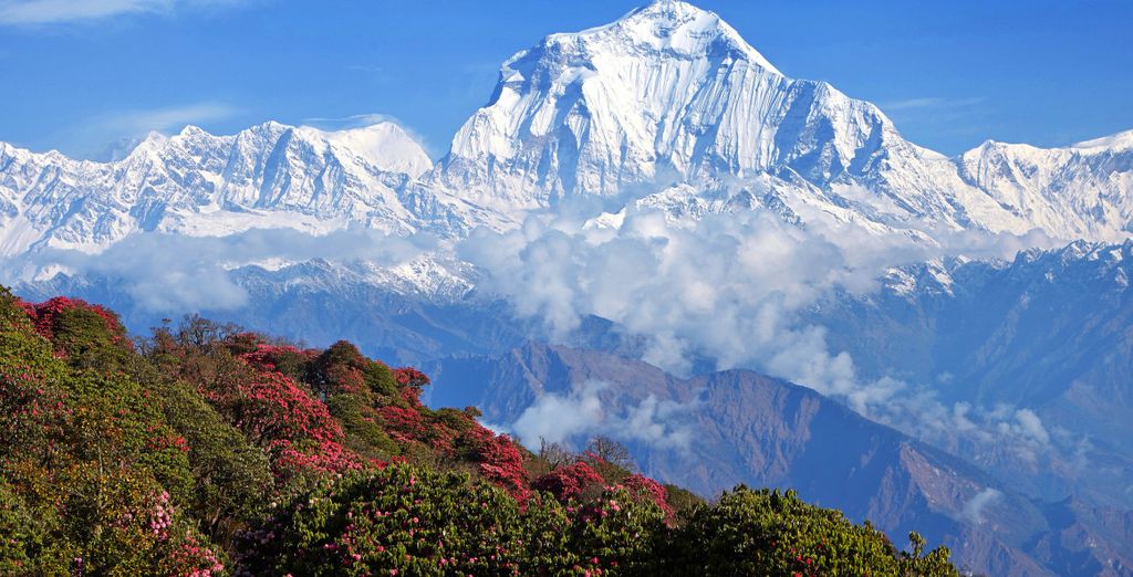 Tour privato di 10 notti alla scoperta dell'India e del Nepal