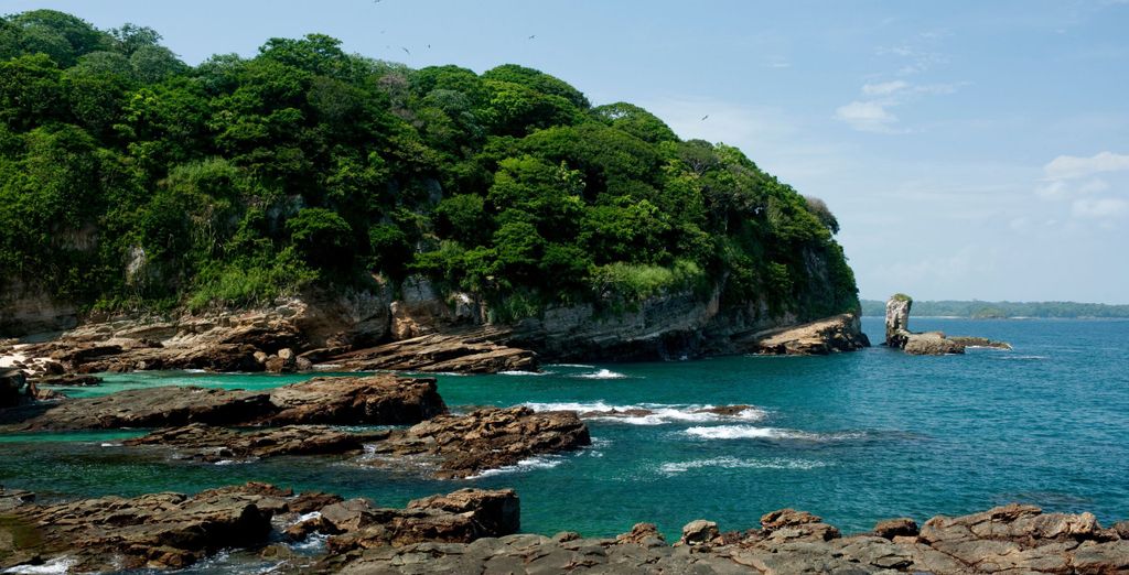 Tour di 9 notti alla scoperta della natura di Panama