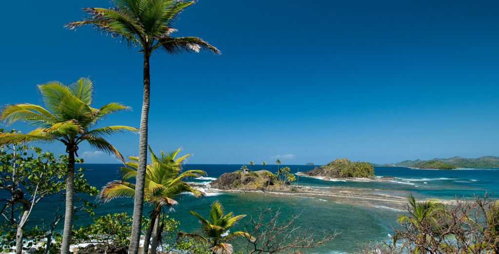 Tour di 9 notti alla scoperta della natura di Panama