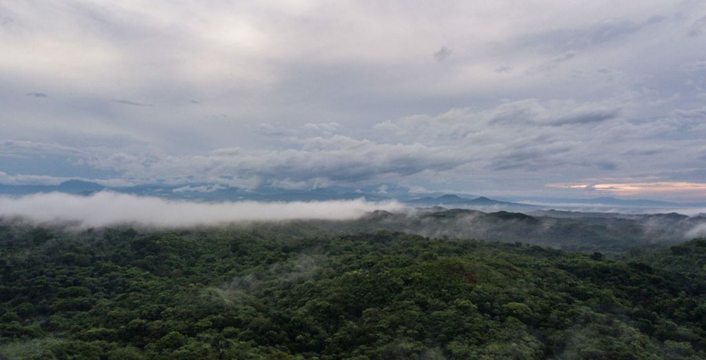 Tour di 9 notti alla scoperta della natura di Panama