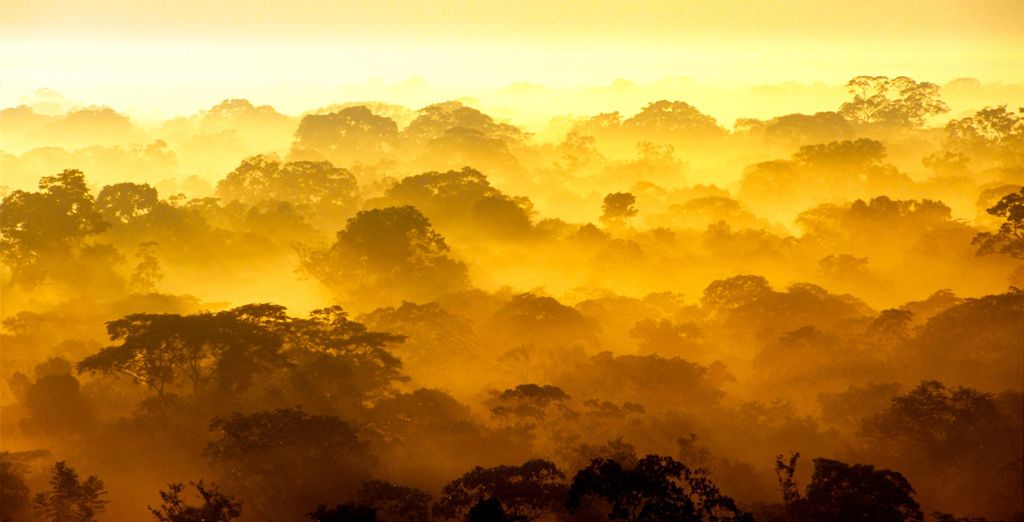 Tour di 9 notti alla scoperta della natura di Panama