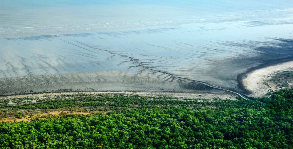 Tour di 9 notti alla scoperta della natura di Panama
