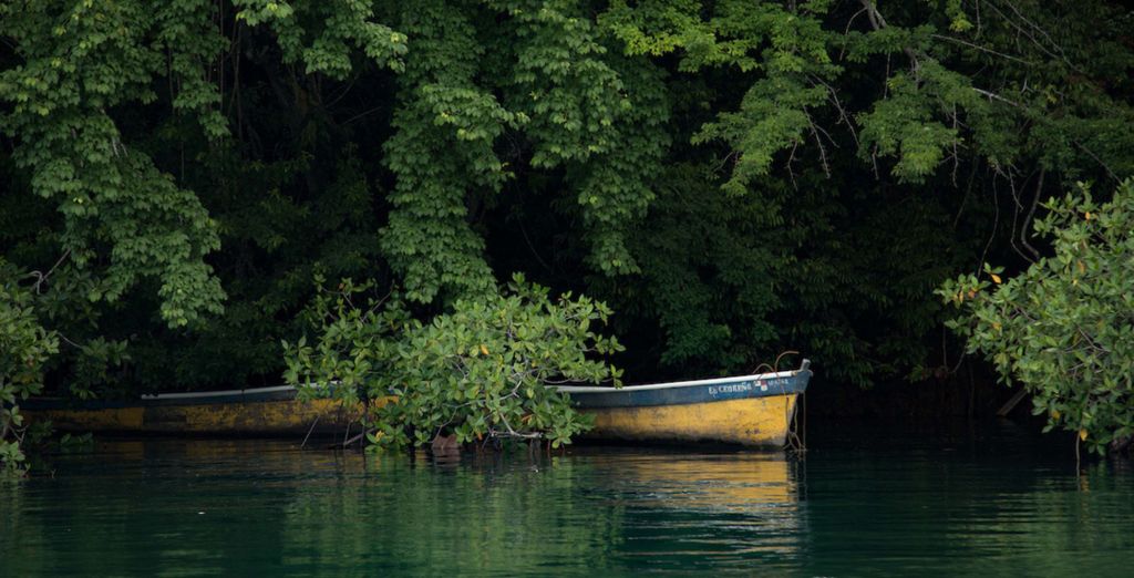Tour di 9 notti alla scoperta della natura di Panama