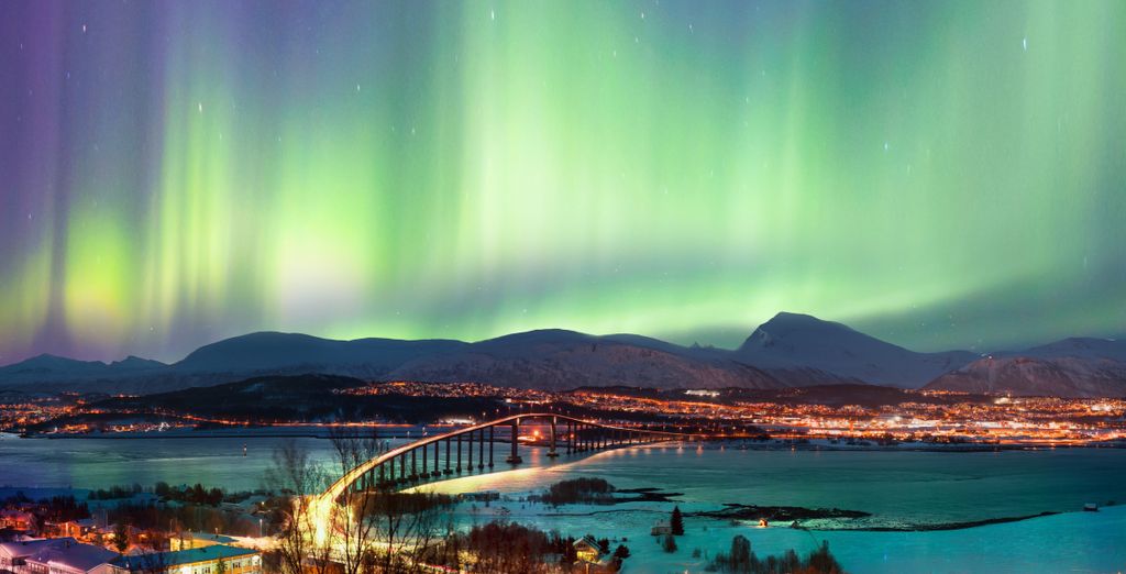 Soggiorno multiattività: Tra balene e aurore boreali