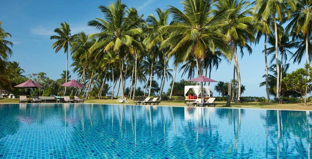 Circuito Le meraviglie dello Sri Lanka con possibile soggiorno all'Avani Bentota 5*