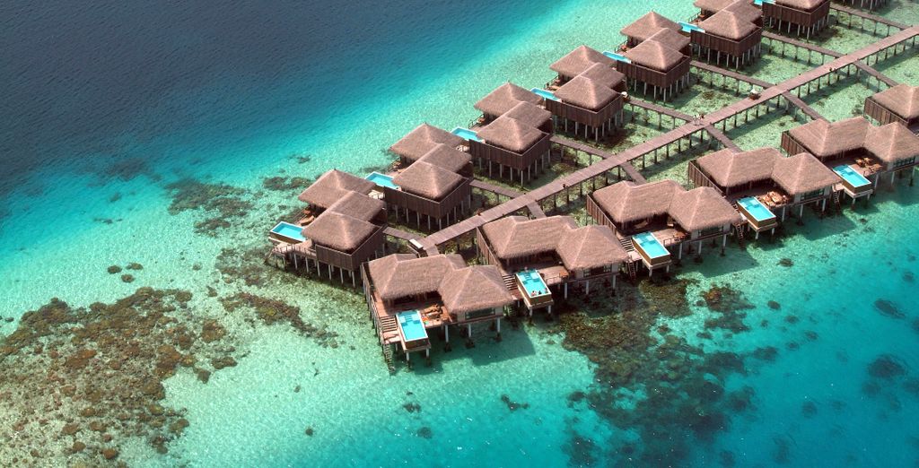 Coco Bodu Hithi Resort 5*