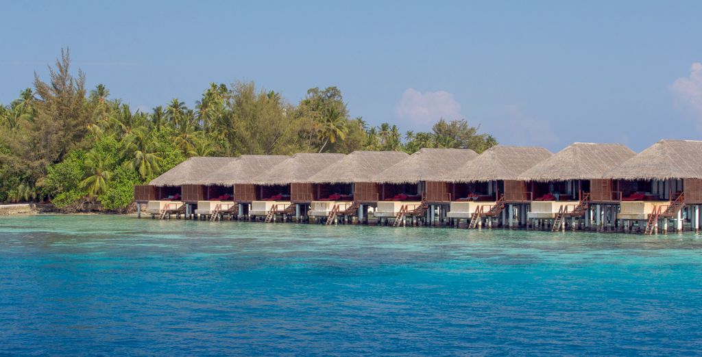 Coco Bodu Hithi Resort 5*