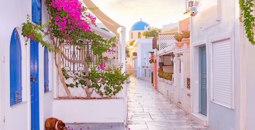 Tour di 5, 6, 8 o 10 notti di Atene e Santorini 