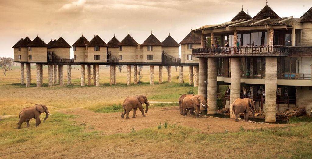Safari di 4 o 5 notti con estensione al Baobab Beach Resort 4*
