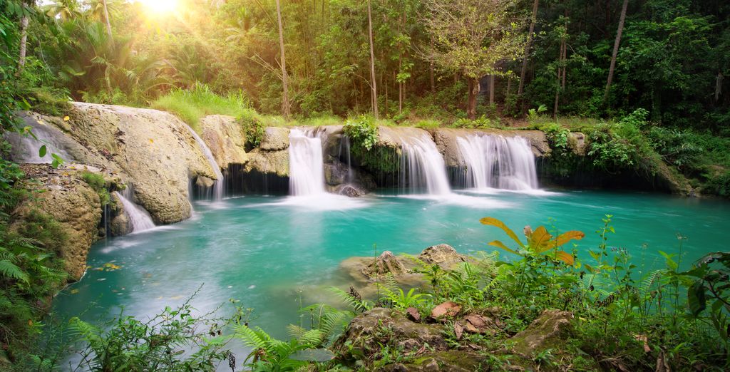 Tour alla scoperta delle Visayas