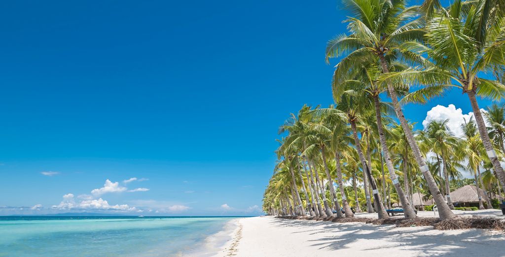 Tour alla scoperta delle Visayas