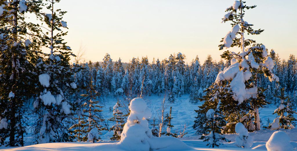 Soggiorno multiattività: Nordic Lapland Resort 