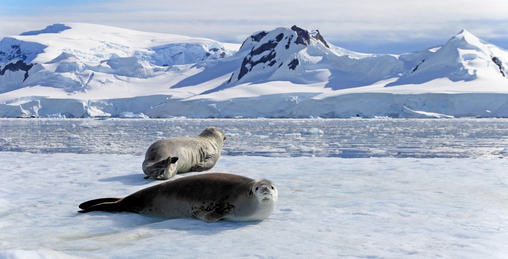 Crociera tra le bellezze antartiche 