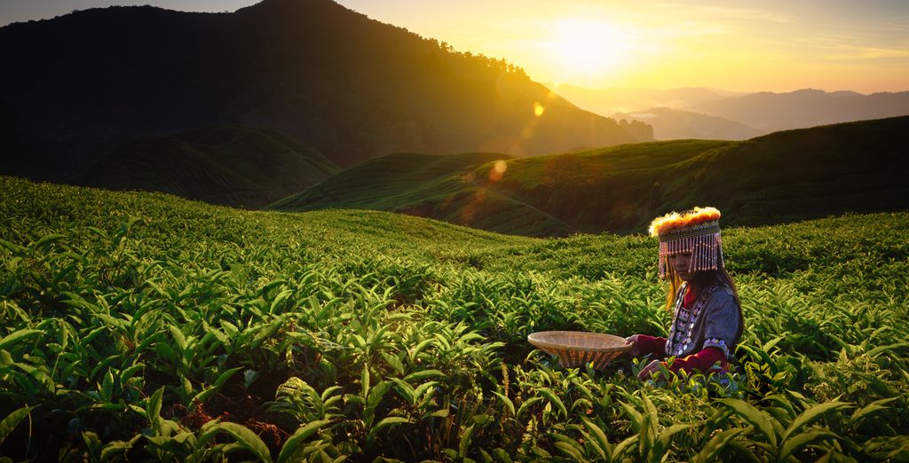 Viajes a Kuala Lumpur