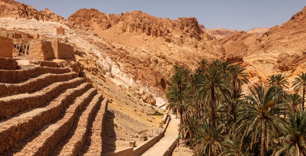 Tour entre el desierto y la playa en 7 noches