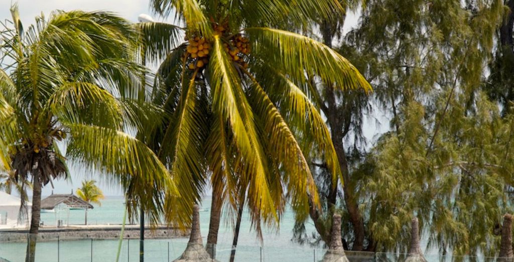 Wondersbeach Boutique Hotel - Adults Only
