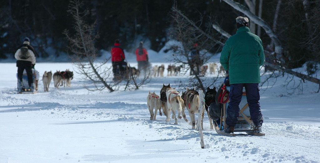 Tour di 7 notti alla scoperta di Montréal con attività al Lac à l'Eau Claire