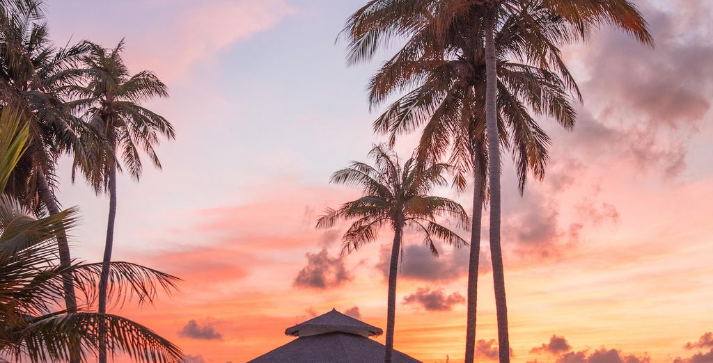 Kihaa Maldives Resort & Spa 5* con Safari di 4 notti in Sri Lanka