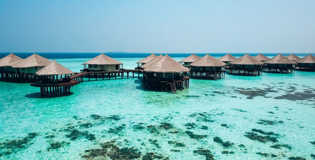 Kihaa Maldives Resort & Spa 5* con Safari di 4 notti in Sri Lanka