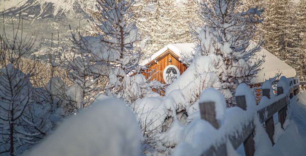 Alpin D'Home 4*