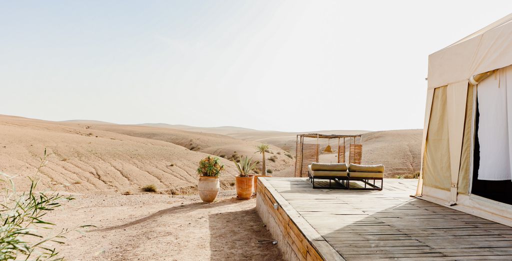 Tour privato: Estate da sogno tra le dune