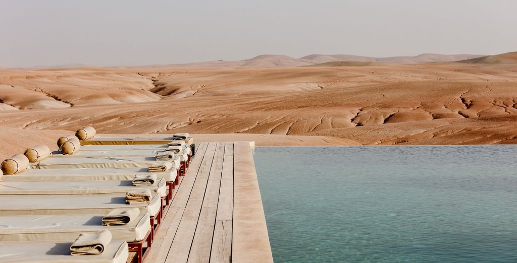 Tour privato: Estate da sogno tra le dune