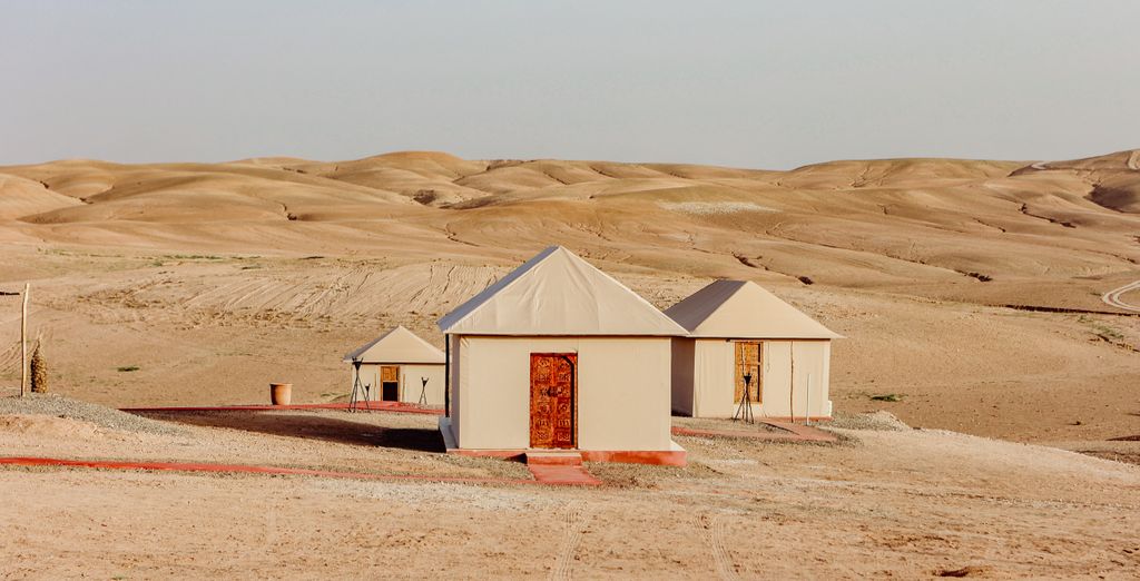Tour privato: Vacanza da sogno tra le dune