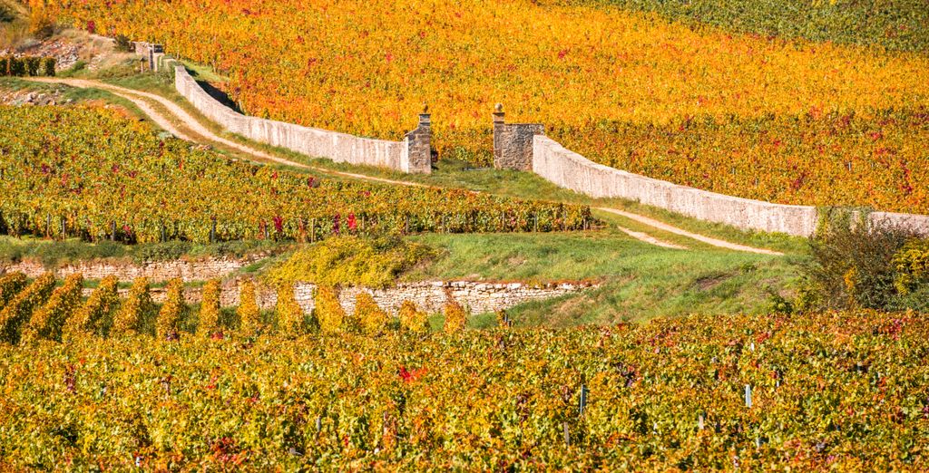 Vignobles de Bourgogne