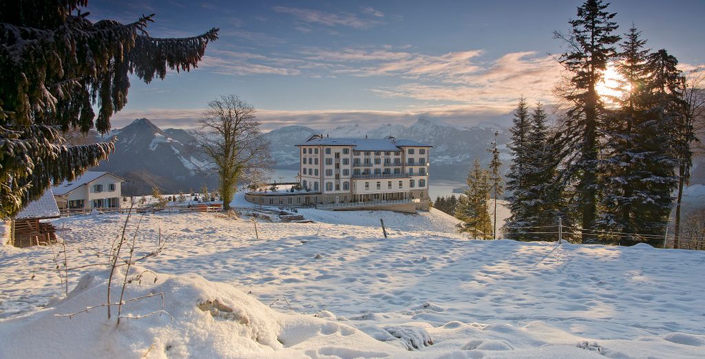 Hotel Villa Honegg 5*