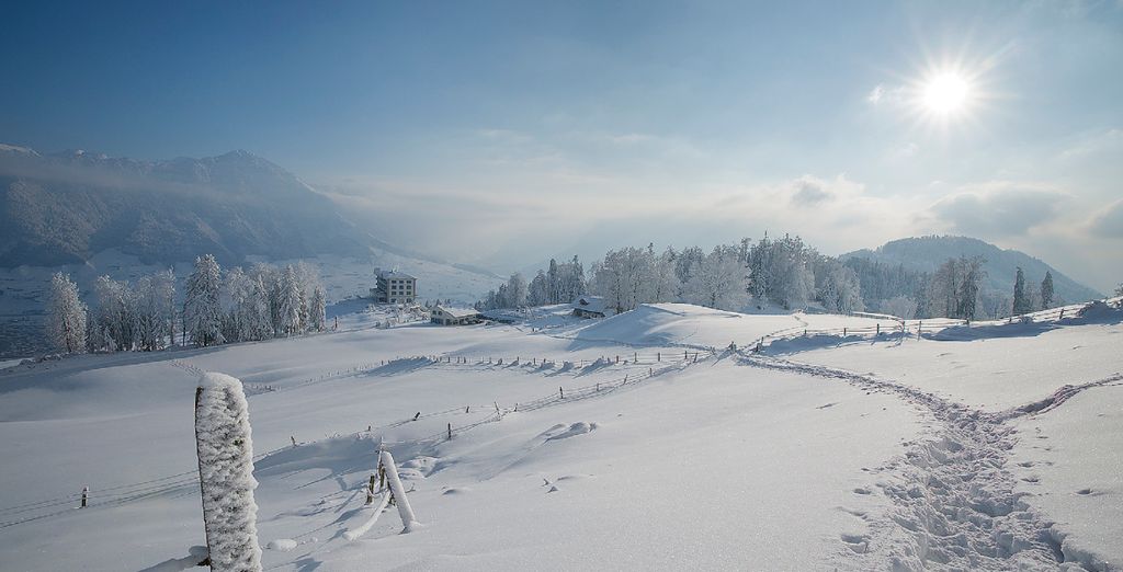 Hotel Villa Honegg 5*