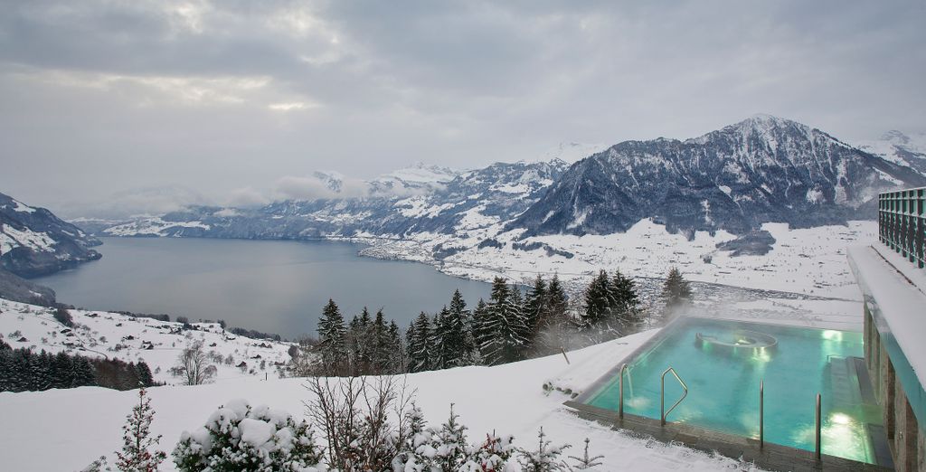 Hotel Villa Honegg 5*