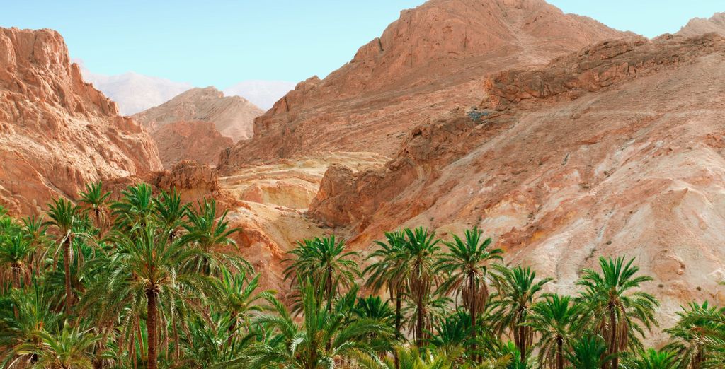 Tour di gruppo: Deserto e spiaggia