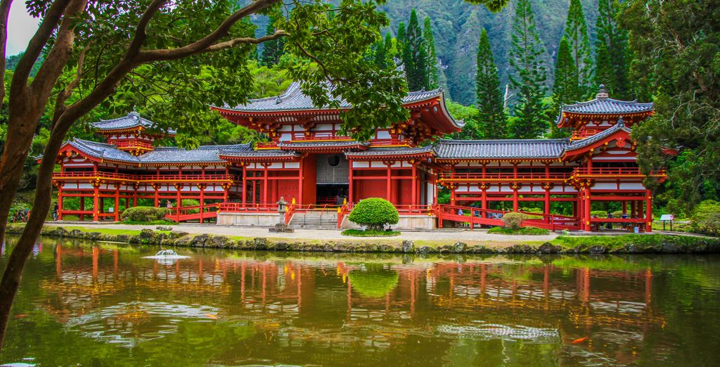 Soggiorno in libertà: Immersione nel Paese dei Samurai