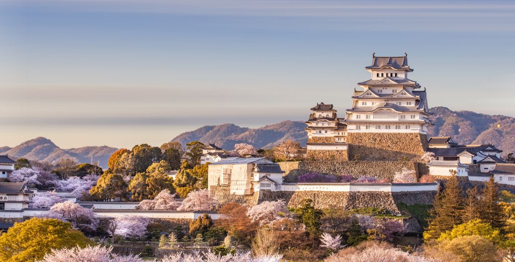 Soggiorno in libertà: Immersione nel Paese dei Samurai