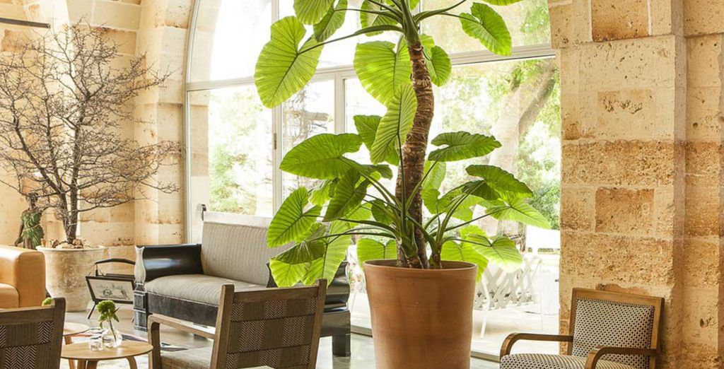 Vinilia Wine Resort Dimora Storica e Ristorante