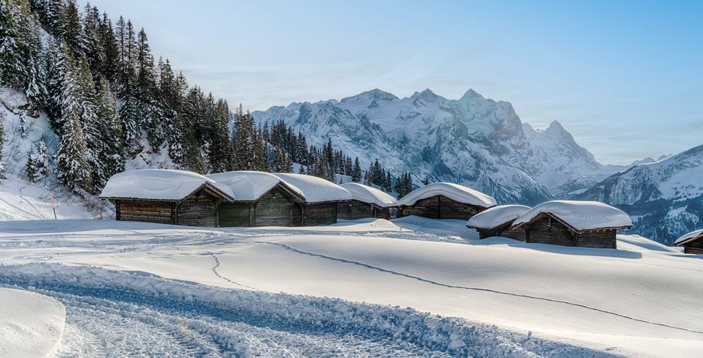 Parkhotel du Sauvage 4*