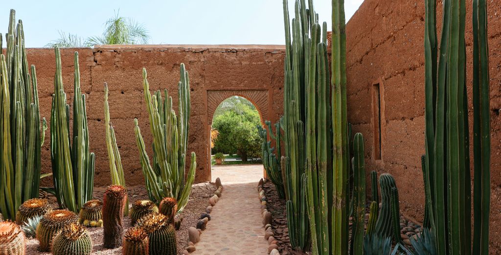 Riad Kilimini e possibile estensione al Riad clé de sol 