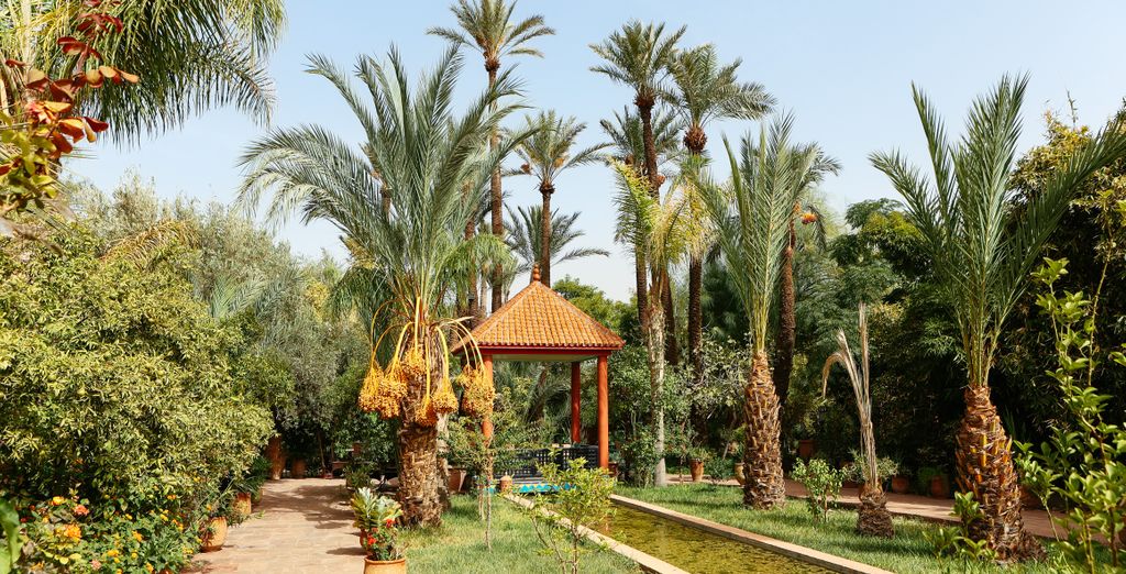  Riad Diamond Of Marrakech 4*