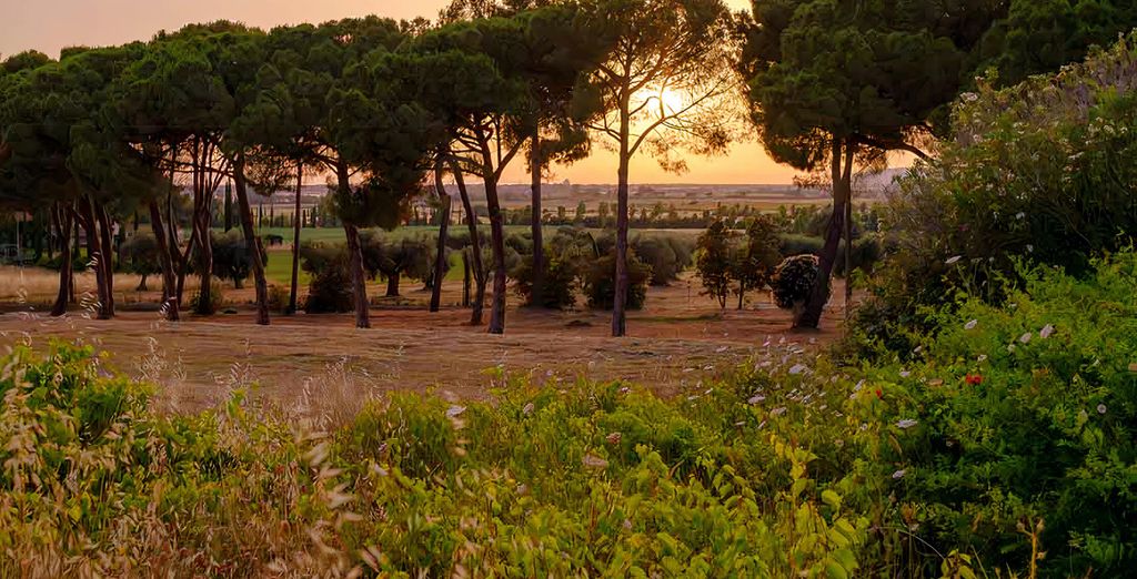 Antica Fattoria La Parrina 