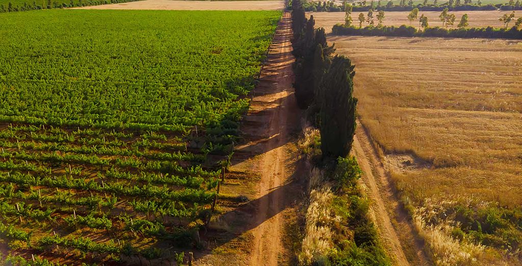Antica Fattoria La Parrina 