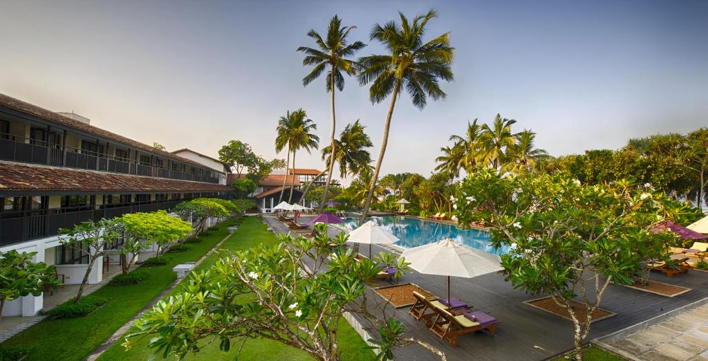 Circuito Le meraviglie dello Sri Lanka con possibile soggiorno all'Avani Bentota 5*