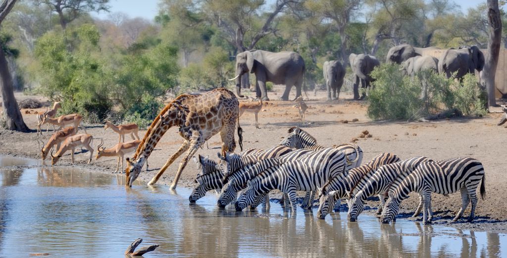 Royal Kruger Lodge 4*