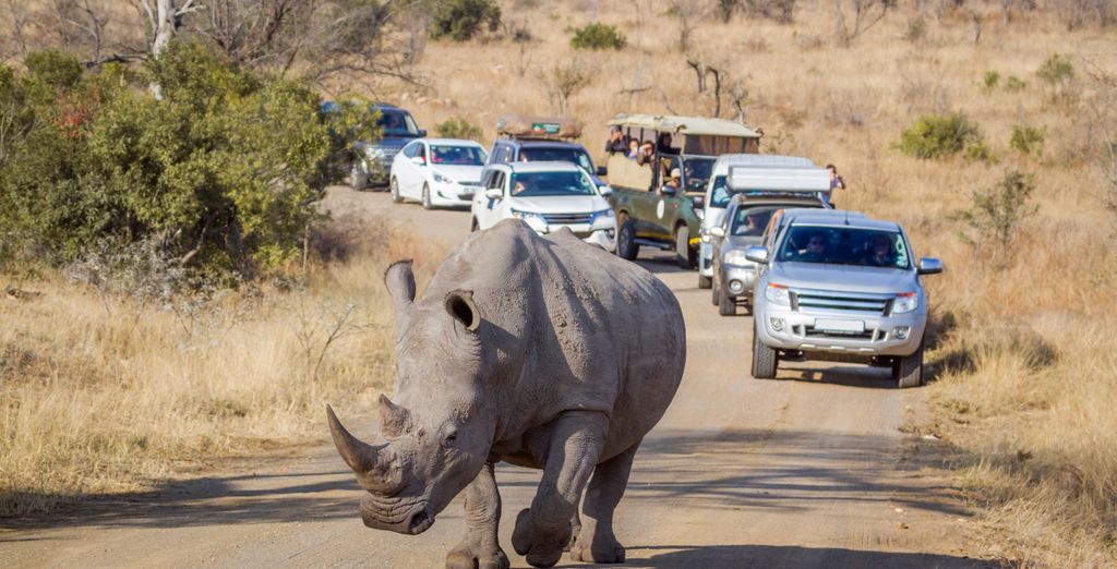 Safari al Kruger Shalati - Il treno sul ponte