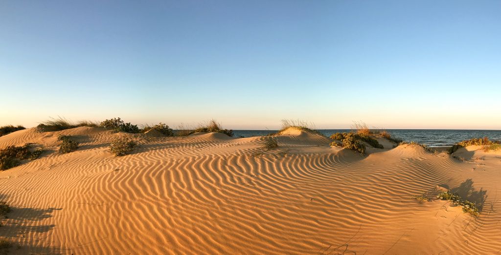 Oliva Nova Beach & Golf Resort 4*