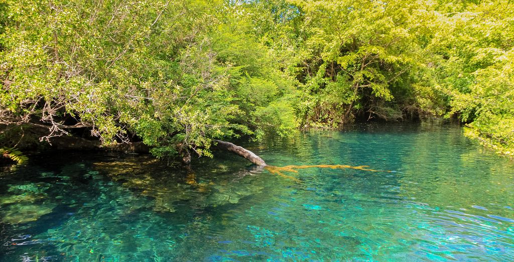 Paradisus Palma Real 5*