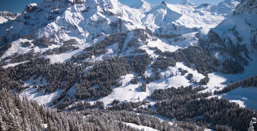 The Cambrian Adelboden 4*