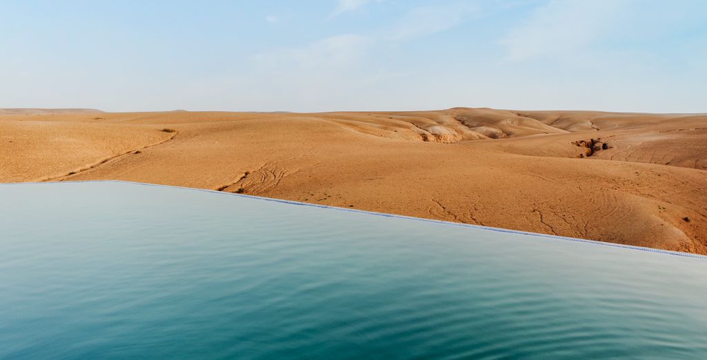 Tour da sogno tra la città e il deserto 