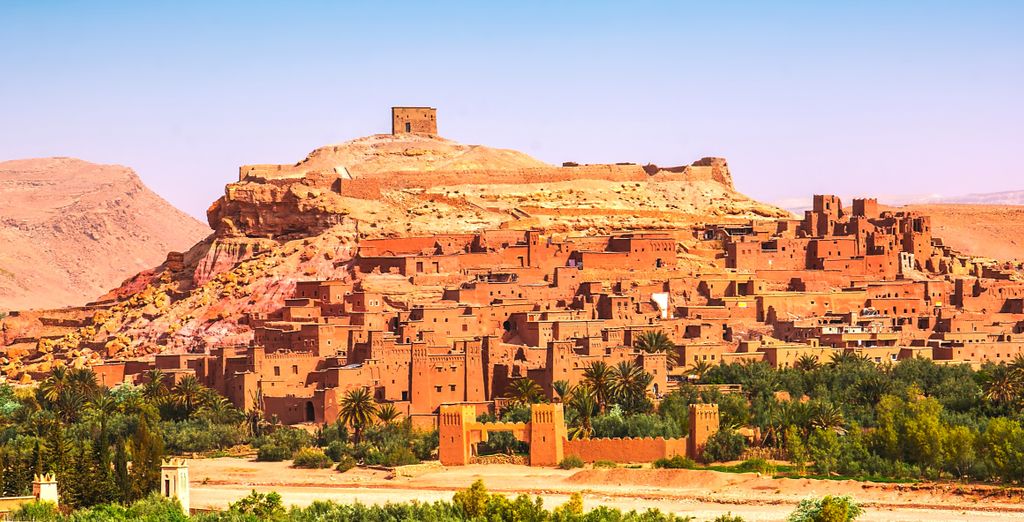 Tour privato: Esperienza tra gli affascinanti paesaggi del deserto