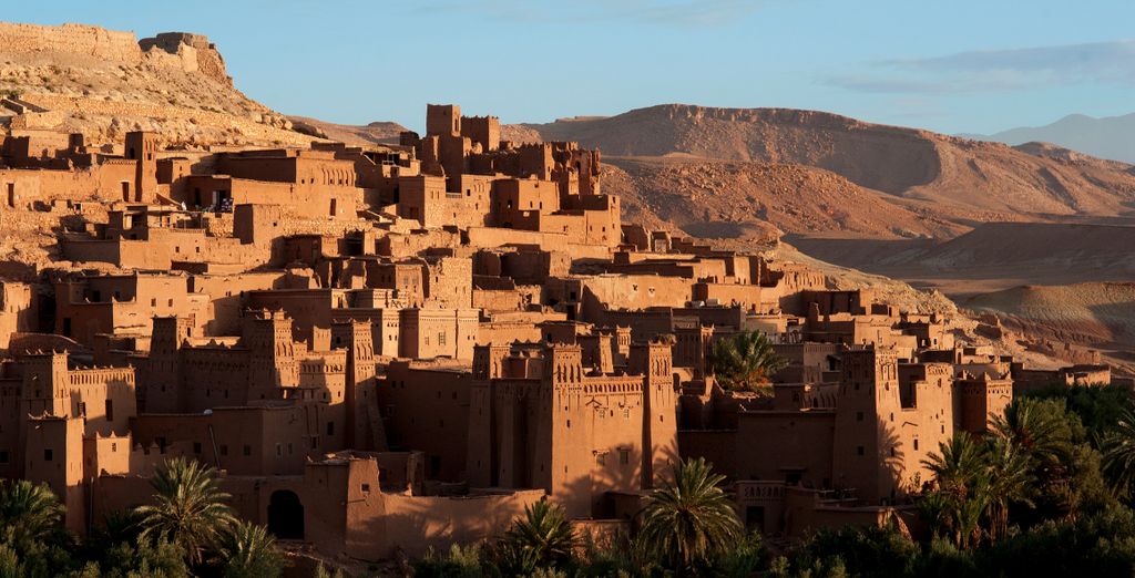 Tour privato: Esperienza tra gli affascinanti paesaggi del deserto