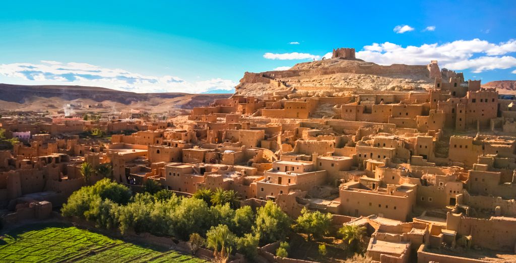 Tour privato: Esperienza tra gli affascinanti paesaggi del deserto